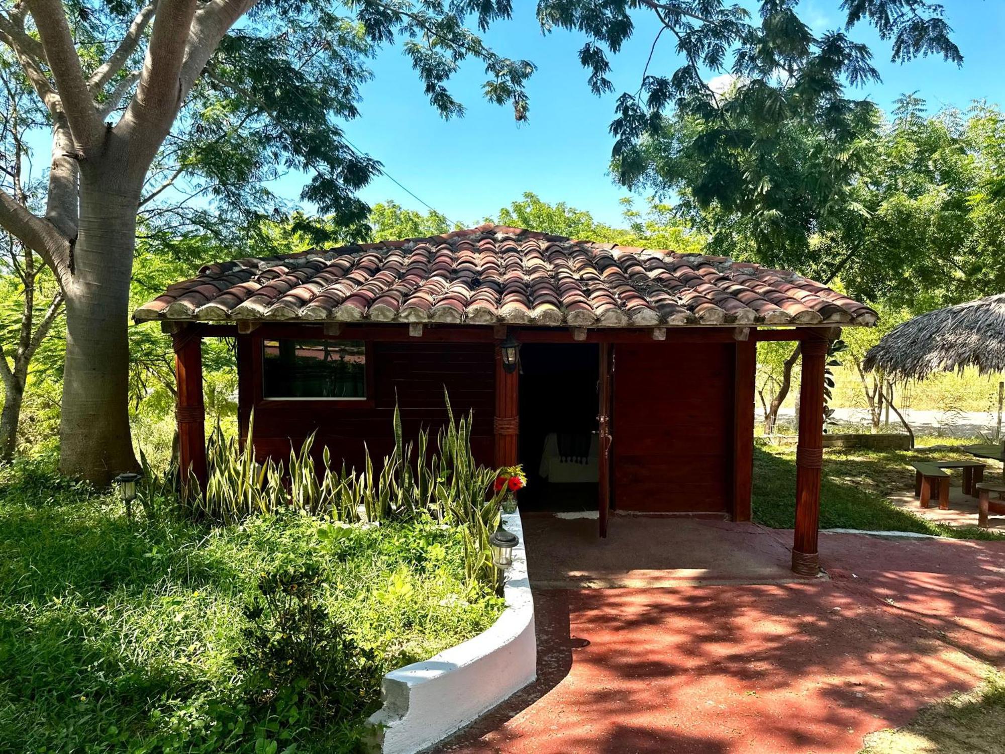 Casa Paraiso Hotel Boutique Puerto Escondido  Eksteriør billede