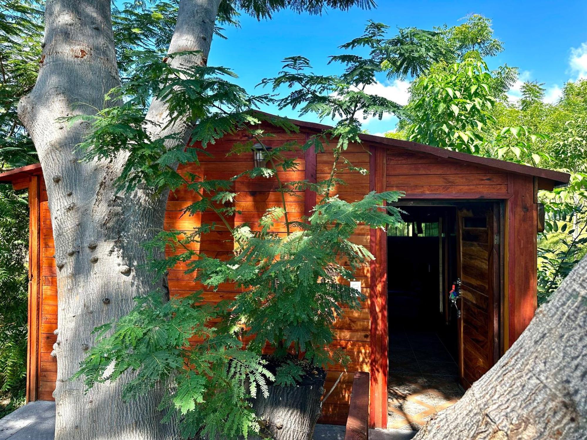 Casa Paraiso Hotel Boutique Puerto Escondido  Eksteriør billede